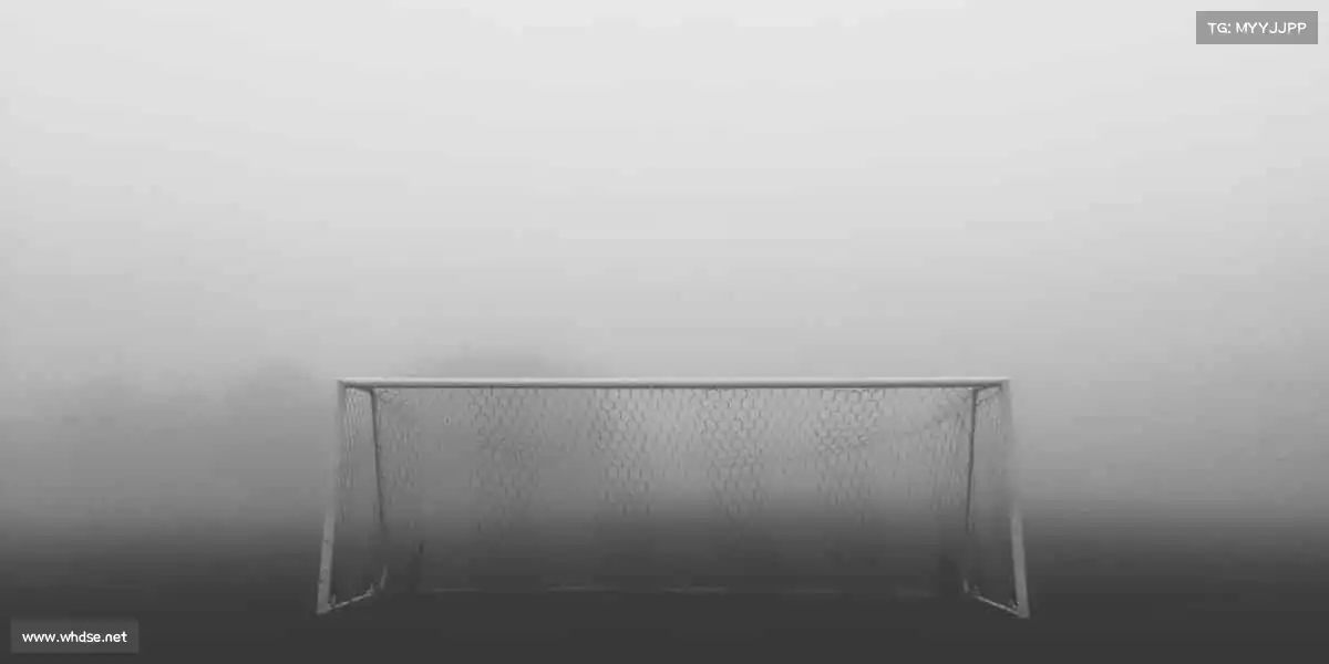 我们的品牌价值